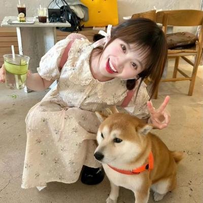 新爱的世界 海报